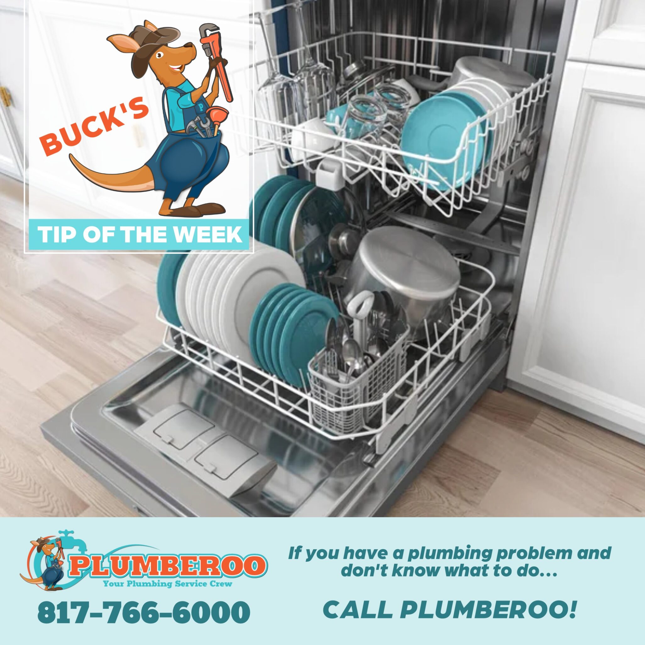DISHWASHER MAINTENANCE AND REPAIR