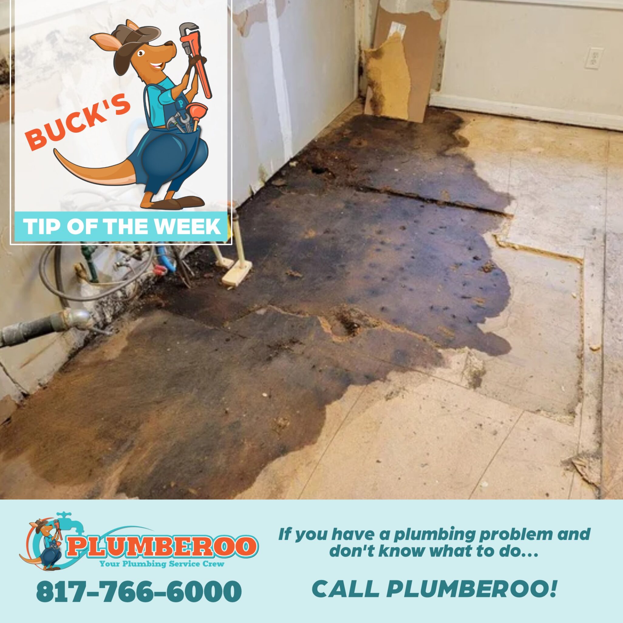 Water Leak: Act fast to minimize damage!