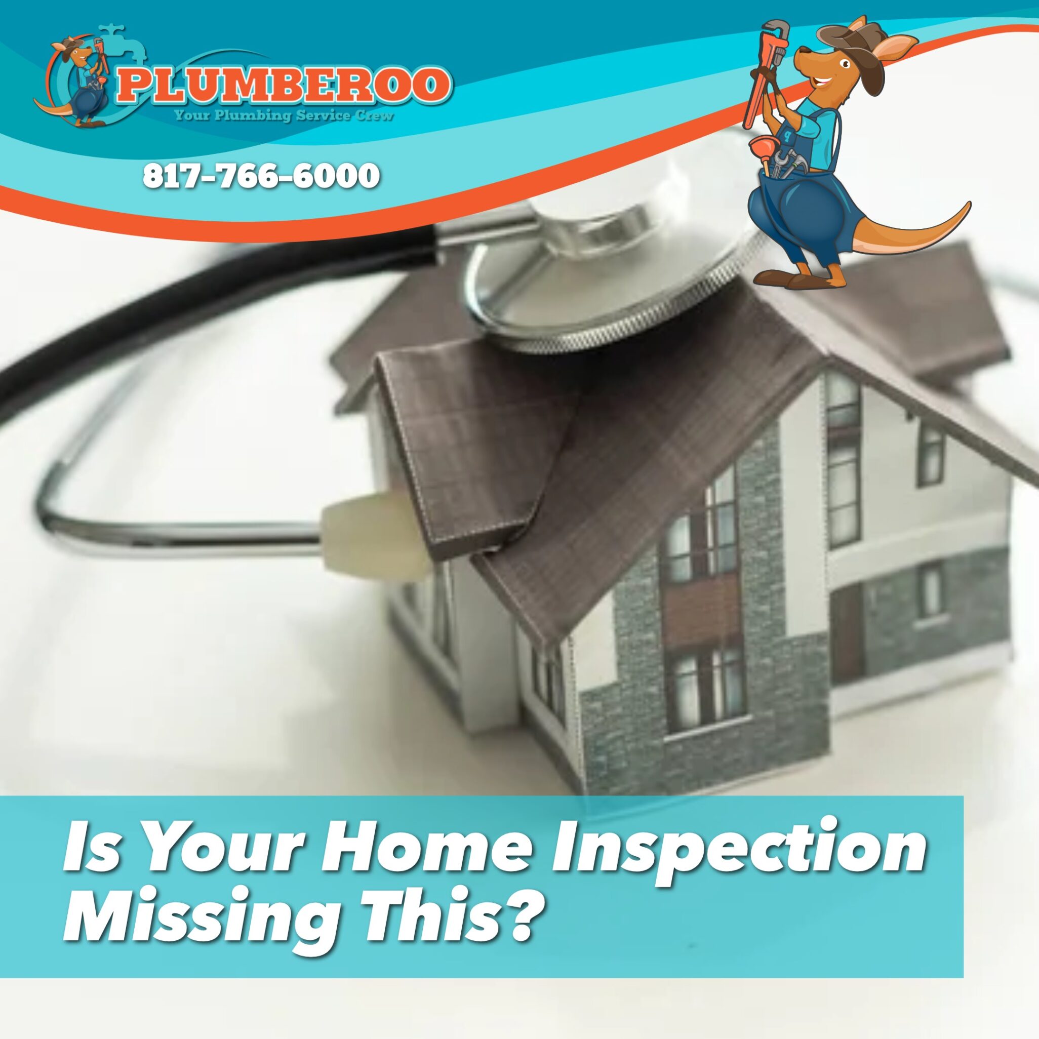 Plumbing Inspections