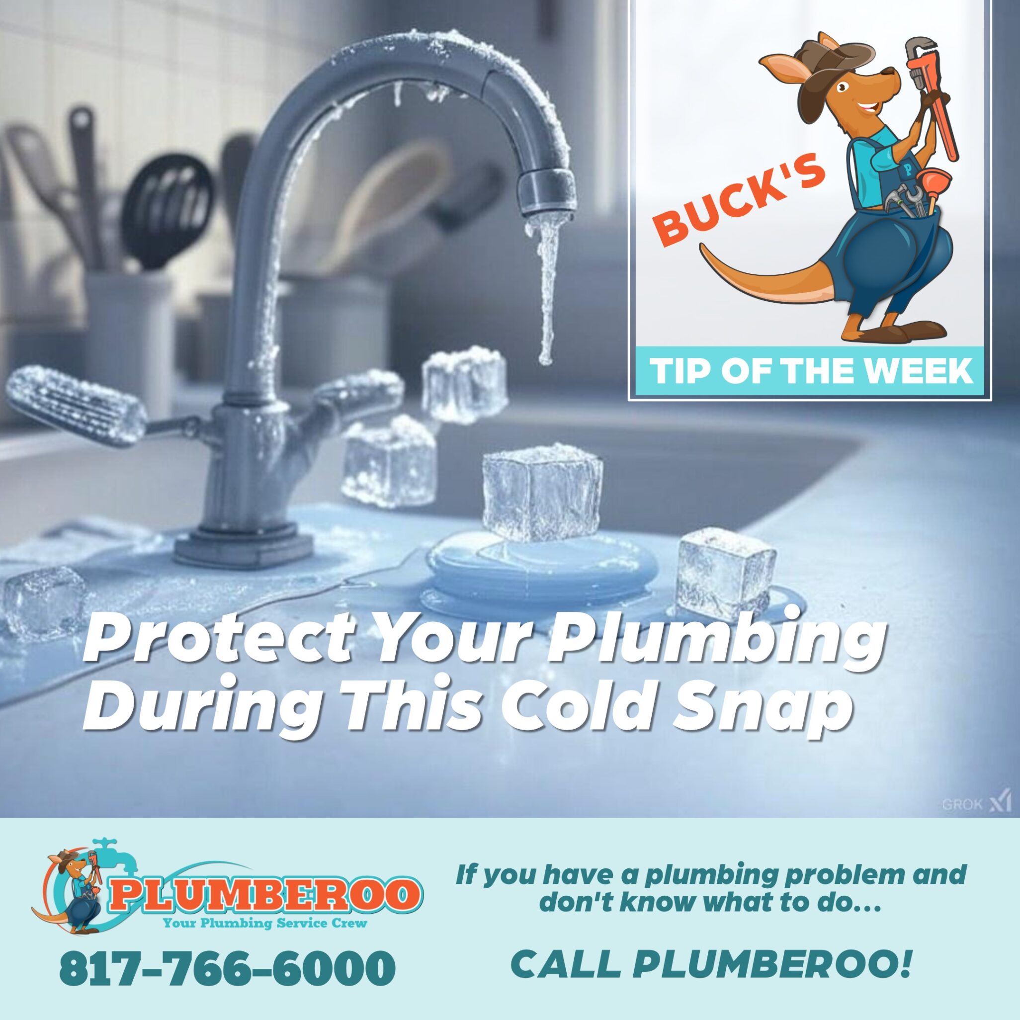 Protect Your Plumbing During This Cold Snap