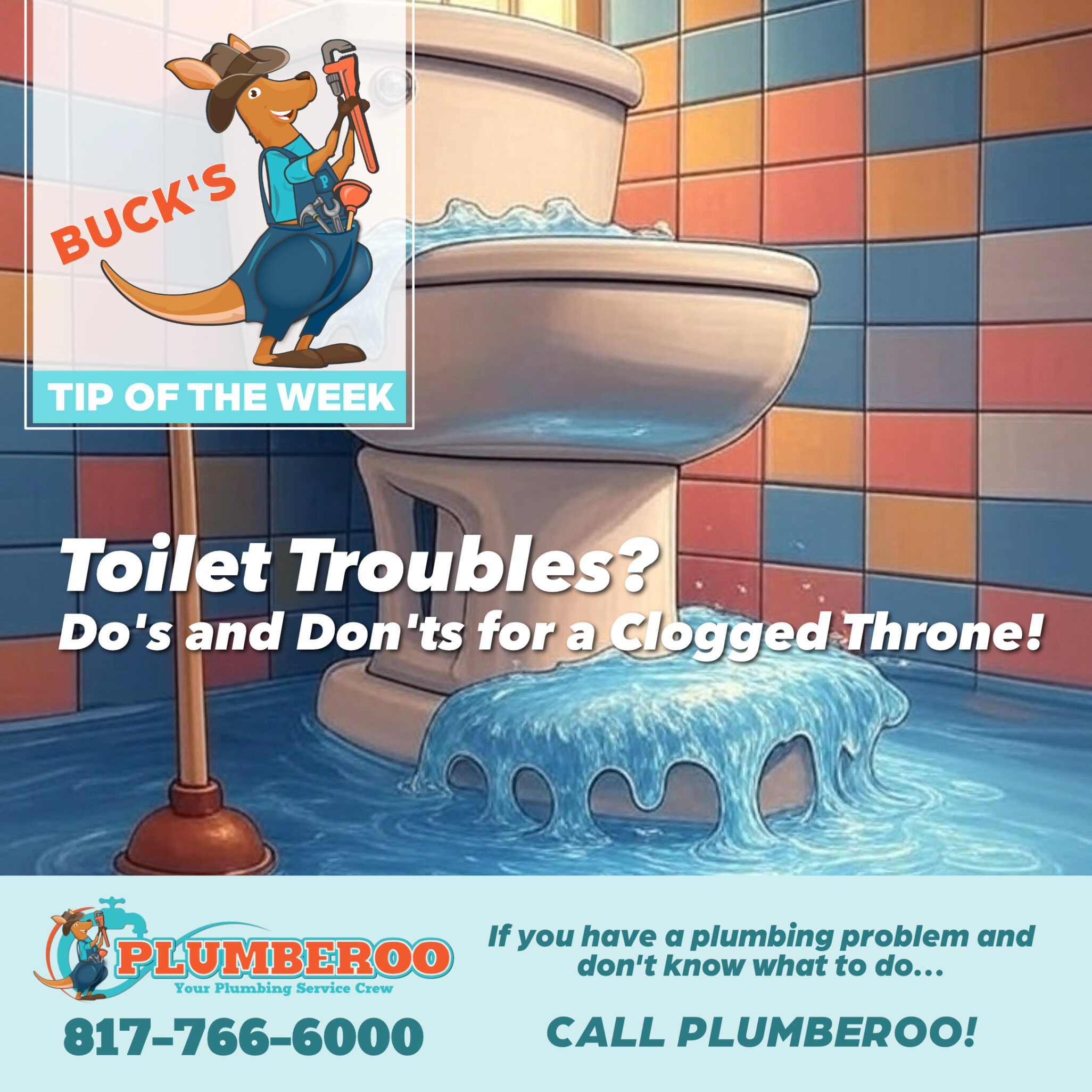 Toilet Troubles? Do’s and Don’t’s for a Clogged Throne