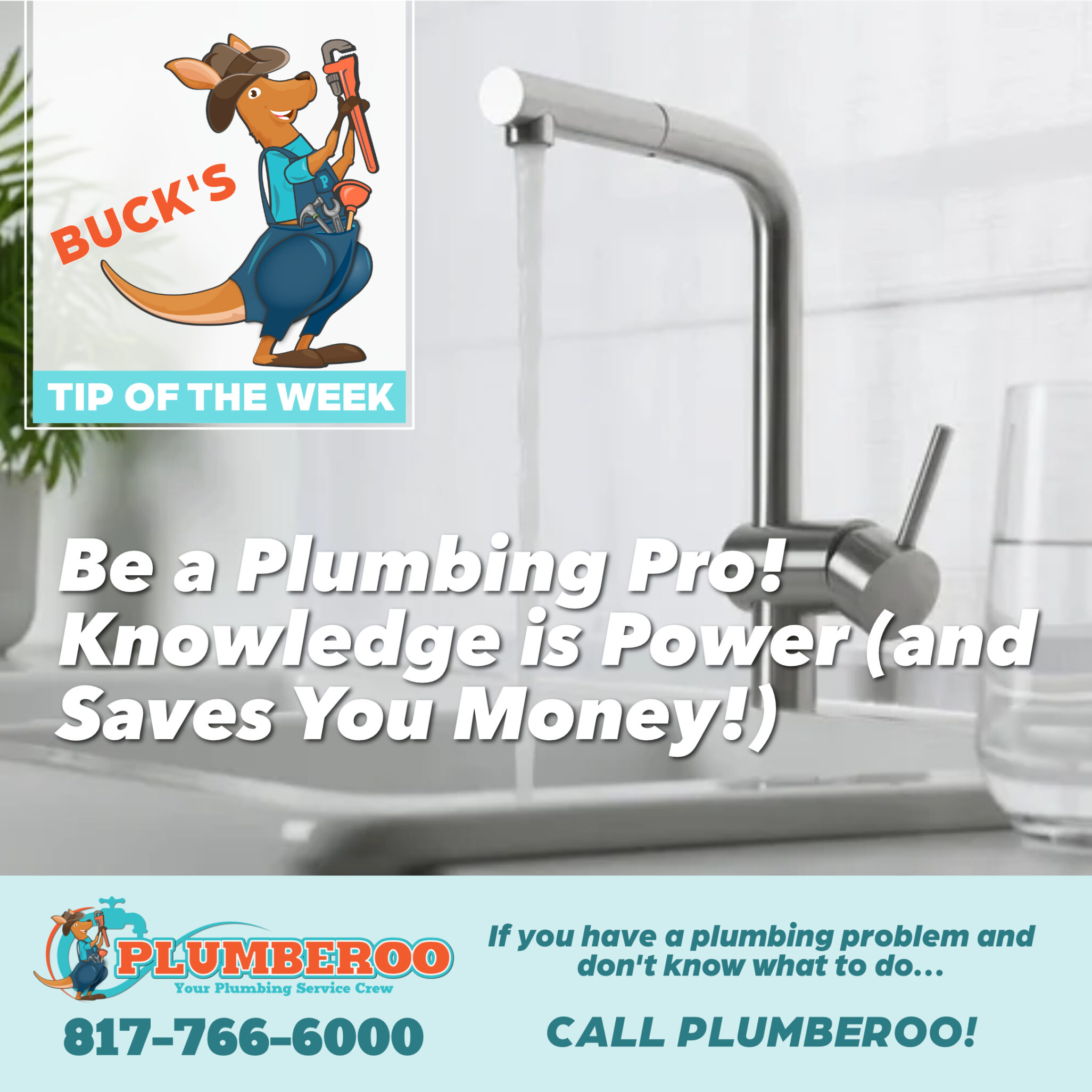 Be a Plumbing (DIY) Pro! Knowledge is Power