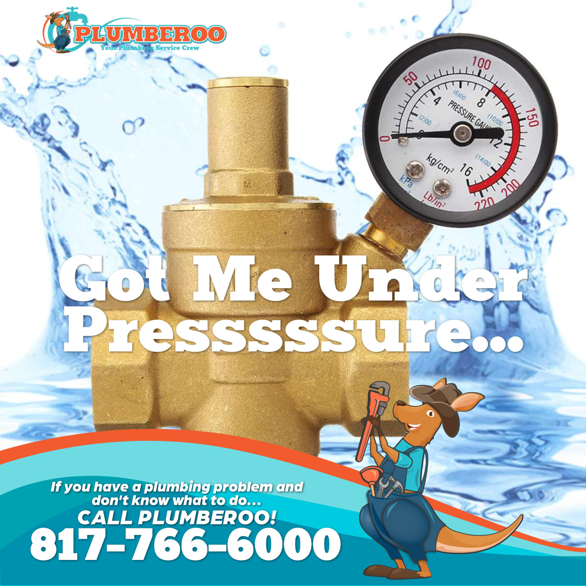 Did You Know a Small Valve Could Be Causing BIG Plumbing Problems?