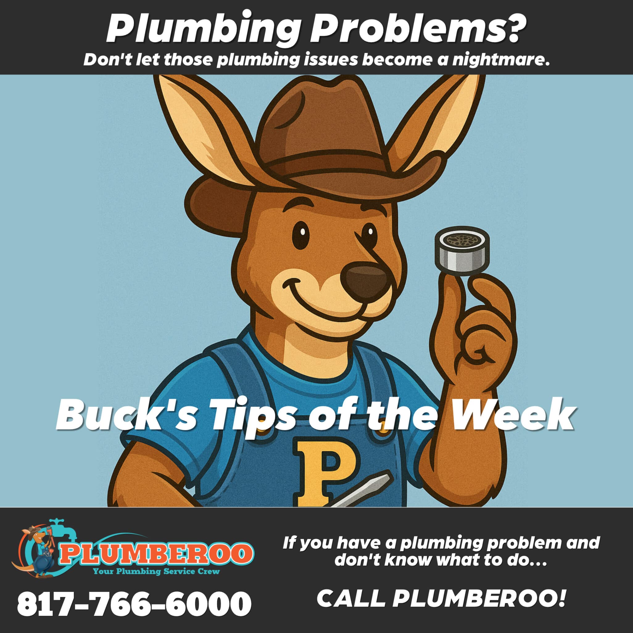 The Value of a Professional Plumber